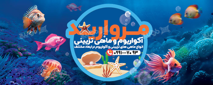 دانلود بنر فروشگاه آکواریوم و ماهی تزیینی مروارید