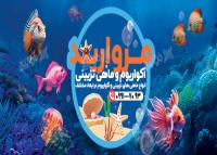 دانلود بنر فروشگاه آکواریوم و ماهی تزیینی مروارید